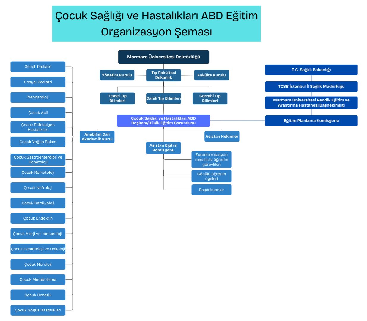 WhatsApp Image 2026-02-19 at 18.52.17.jpeg (106 KB)